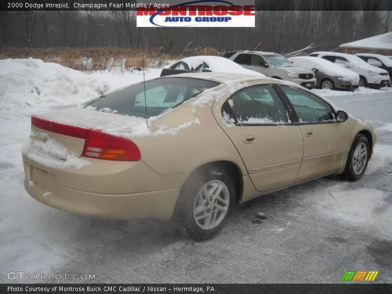Champagne Pearl Metallic / Agate 2000 Dodge Intrepid