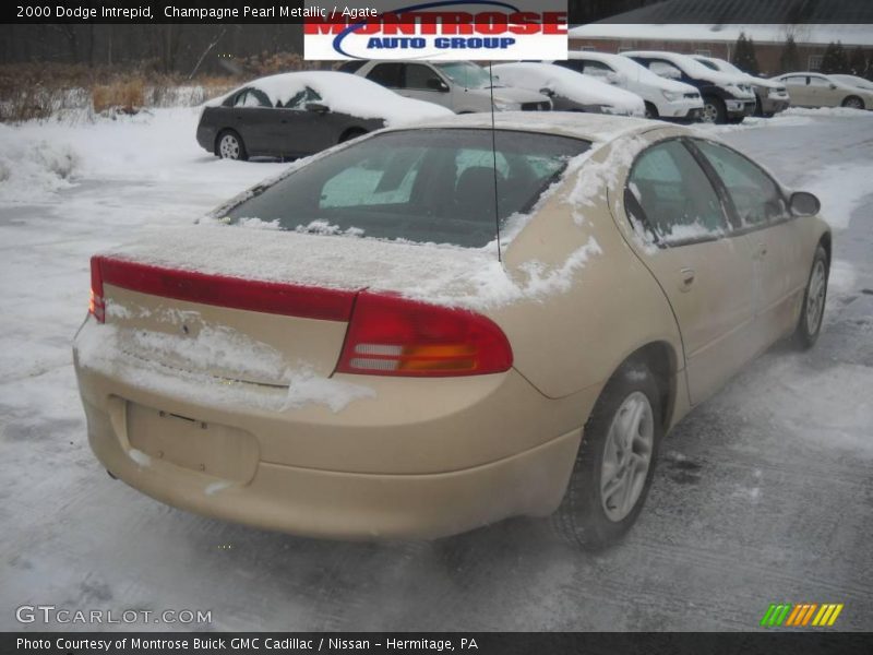Champagne Pearl Metallic / Agate 2000 Dodge Intrepid
