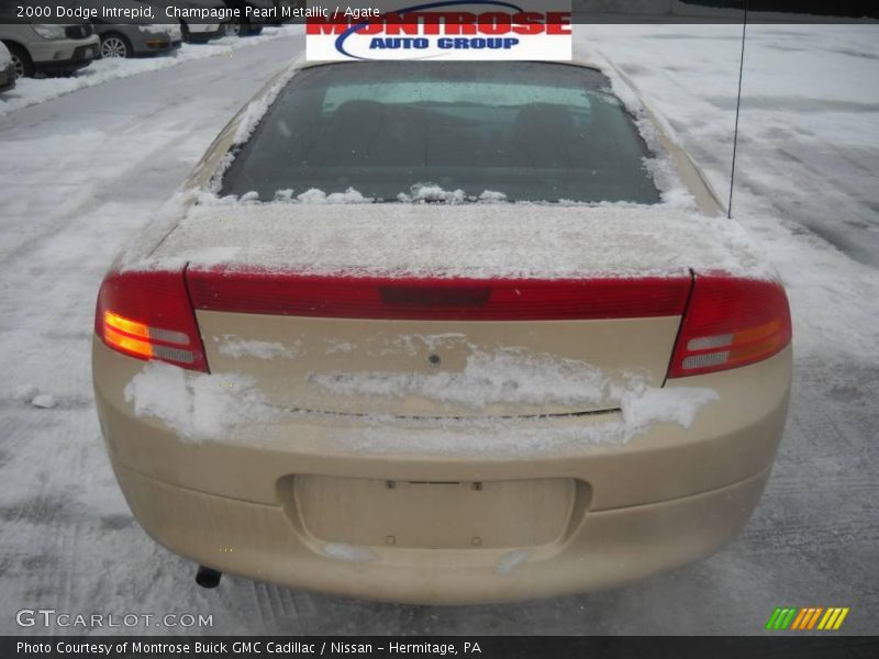 Champagne Pearl Metallic / Agate 2000 Dodge Intrepid