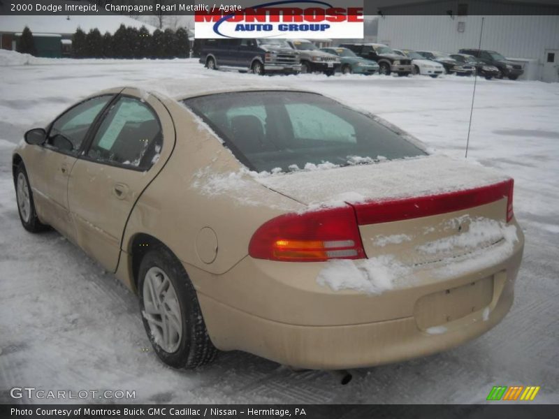 Champagne Pearl Metallic / Agate 2000 Dodge Intrepid
