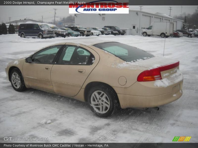 Champagne Pearl Metallic / Agate 2000 Dodge Intrepid