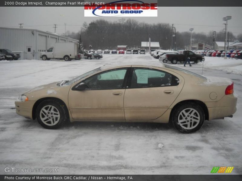 Champagne Pearl Metallic / Agate 2000 Dodge Intrepid