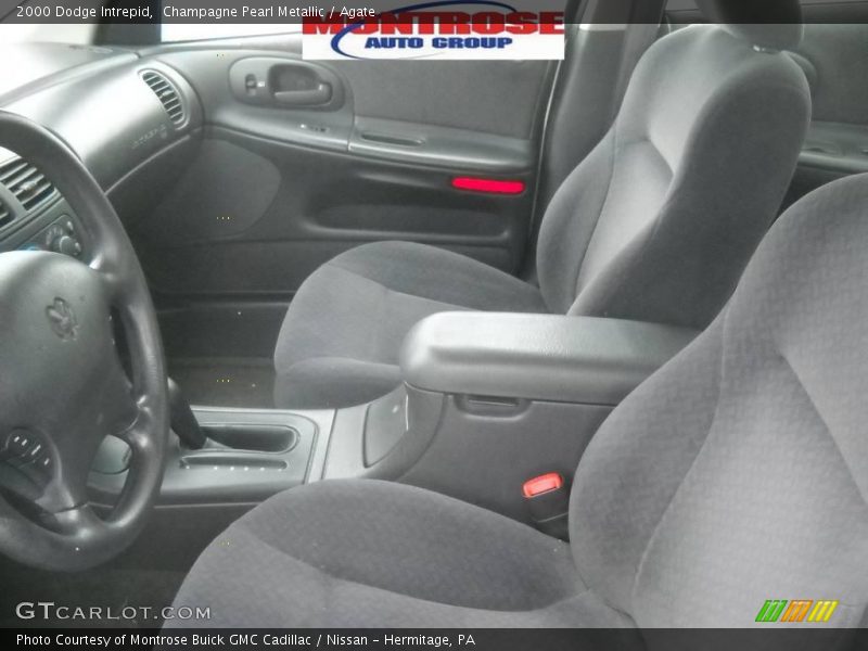 Champagne Pearl Metallic / Agate 2000 Dodge Intrepid