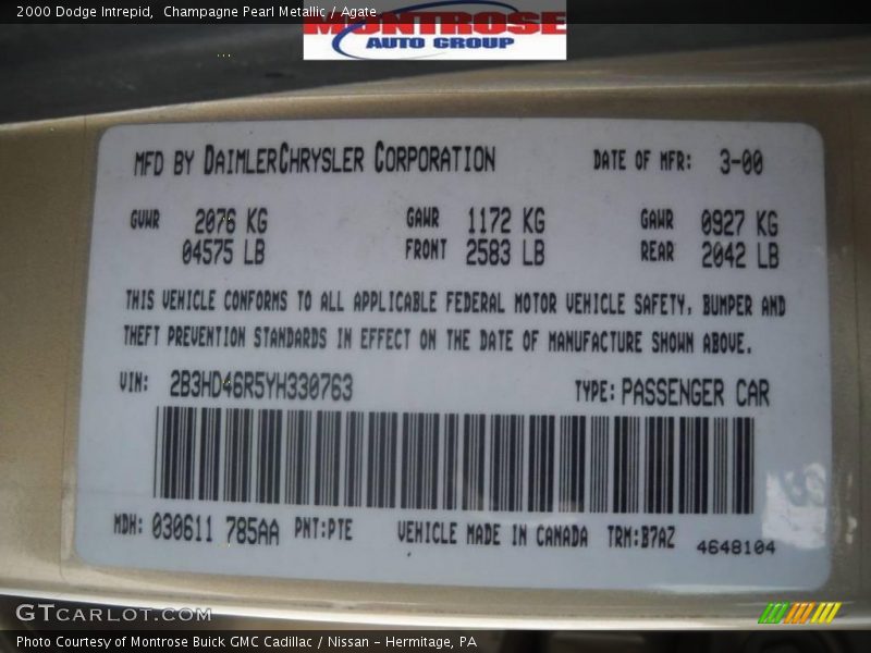 Champagne Pearl Metallic / Agate 2000 Dodge Intrepid