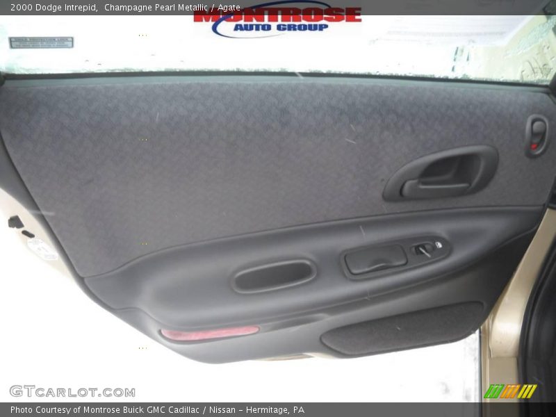 Champagne Pearl Metallic / Agate 2000 Dodge Intrepid