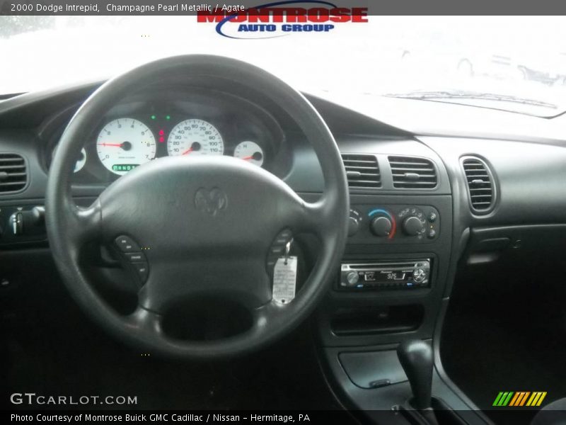 Champagne Pearl Metallic / Agate 2000 Dodge Intrepid
