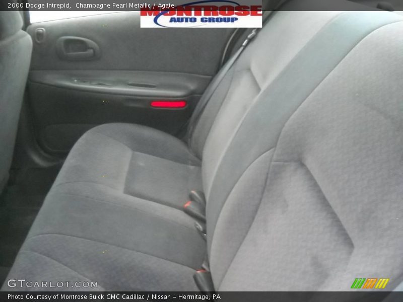 Champagne Pearl Metallic / Agate 2000 Dodge Intrepid