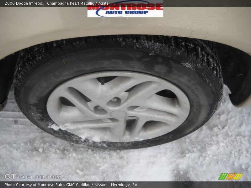 Champagne Pearl Metallic / Agate 2000 Dodge Intrepid