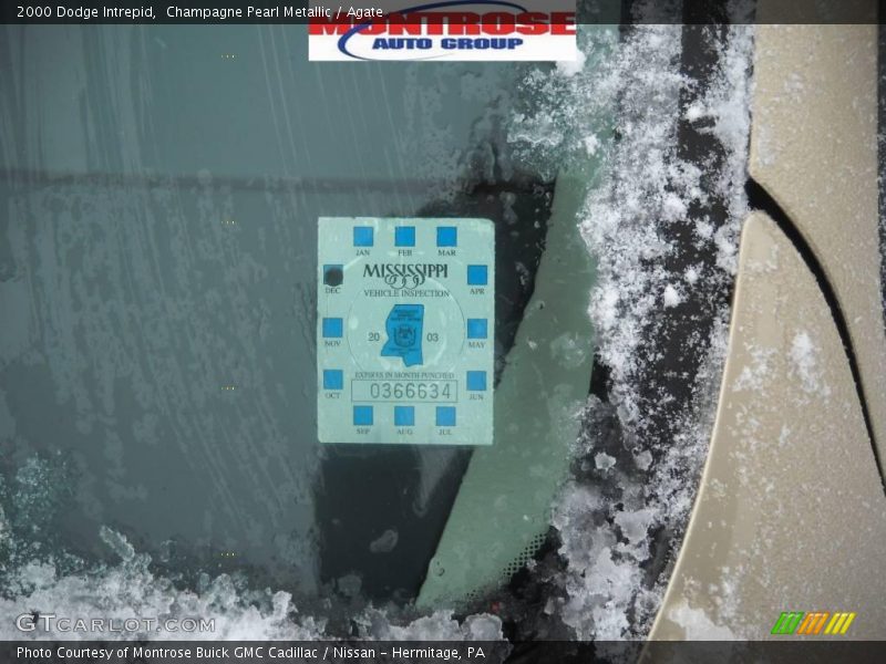 Champagne Pearl Metallic / Agate 2000 Dodge Intrepid