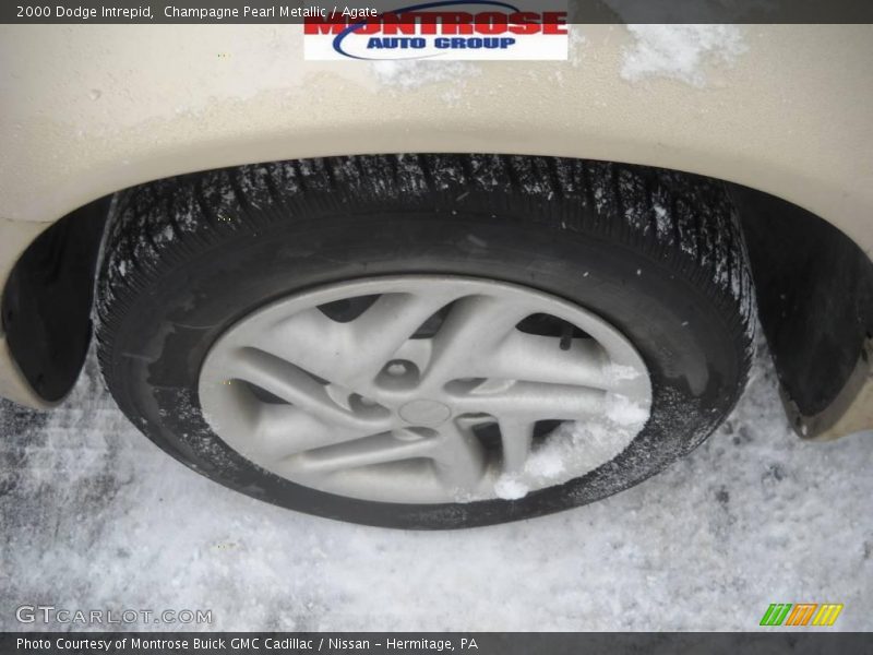 Champagne Pearl Metallic / Agate 2000 Dodge Intrepid