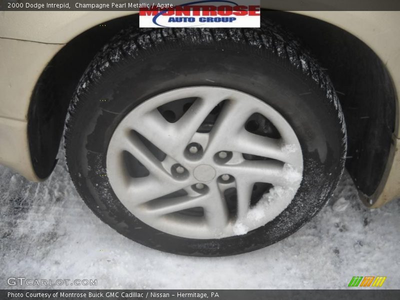 Champagne Pearl Metallic / Agate 2000 Dodge Intrepid