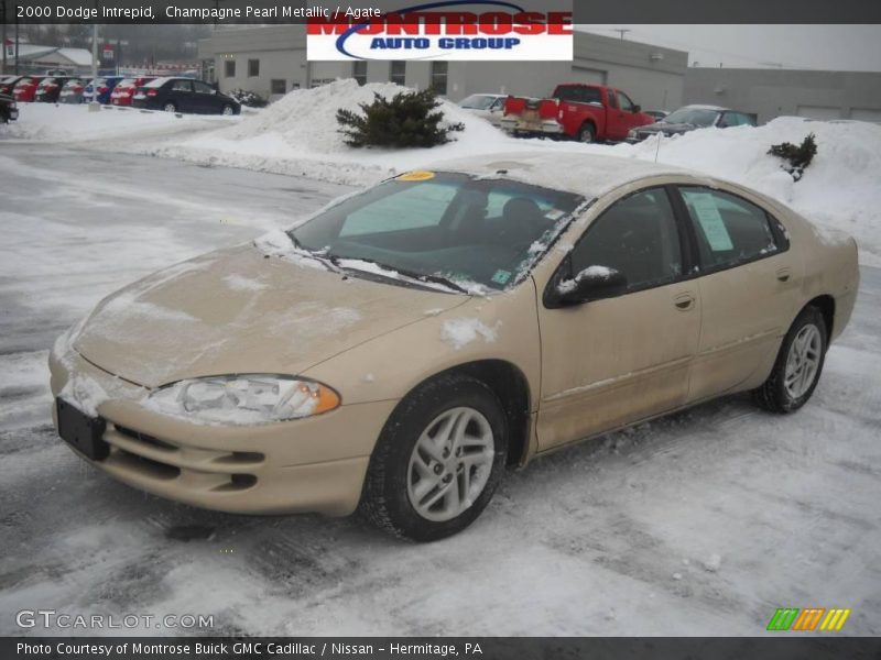 Champagne Pearl Metallic / Agate 2000 Dodge Intrepid