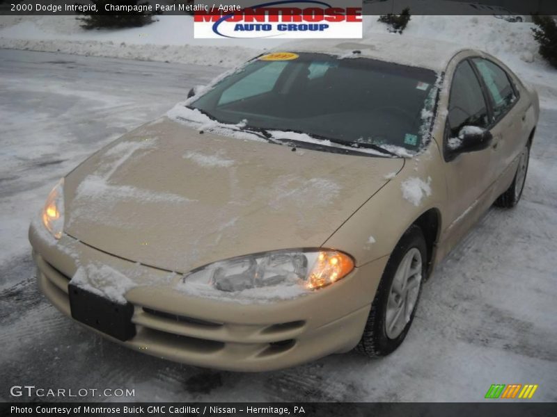 Champagne Pearl Metallic / Agate 2000 Dodge Intrepid