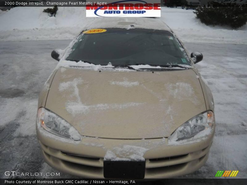 Champagne Pearl Metallic / Agate 2000 Dodge Intrepid