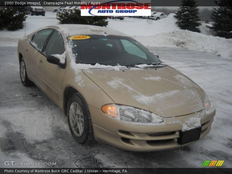 Champagne Pearl Metallic / Agate 2000 Dodge Intrepid