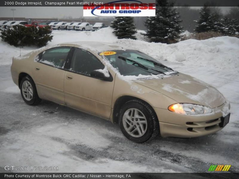 Champagne Pearl Metallic / Agate 2000 Dodge Intrepid