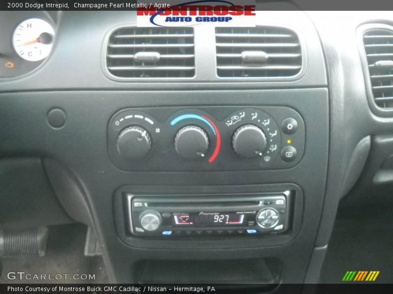 Champagne Pearl Metallic / Agate 2000 Dodge Intrepid