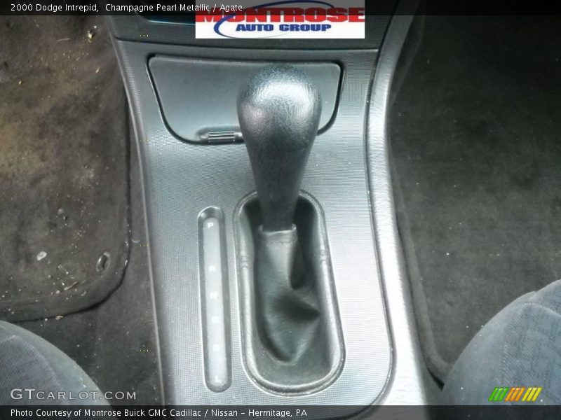 Champagne Pearl Metallic / Agate 2000 Dodge Intrepid