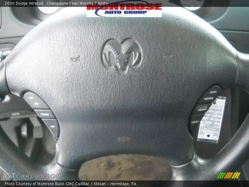 Champagne Pearl Metallic / Agate 2000 Dodge Intrepid
