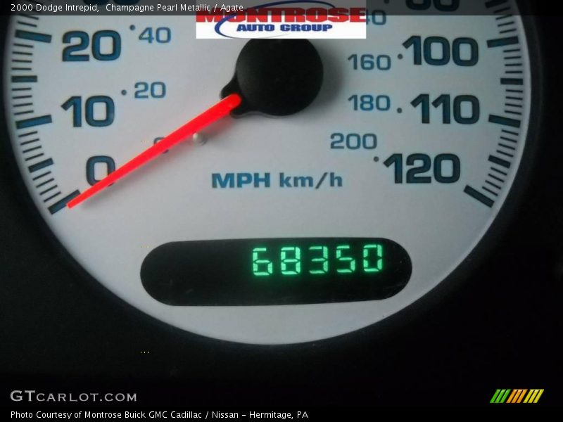 Champagne Pearl Metallic / Agate 2000 Dodge Intrepid