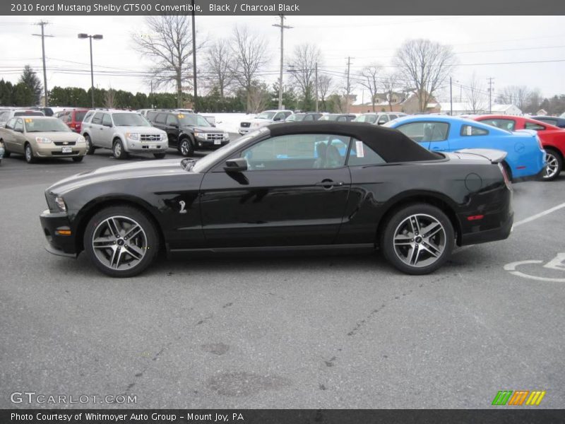 Black / Charcoal Black 2010 Ford Mustang Shelby GT500 Convertible