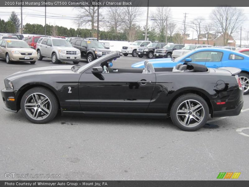 Black / Charcoal Black 2010 Ford Mustang Shelby GT500 Convertible