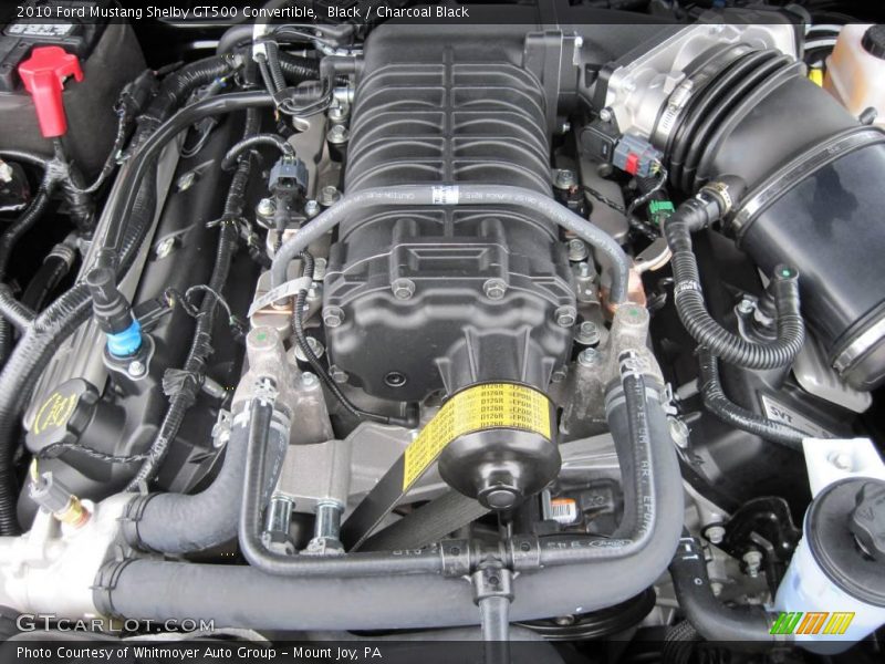 Black / Charcoal Black 2010 Ford Mustang Shelby GT500 Convertible