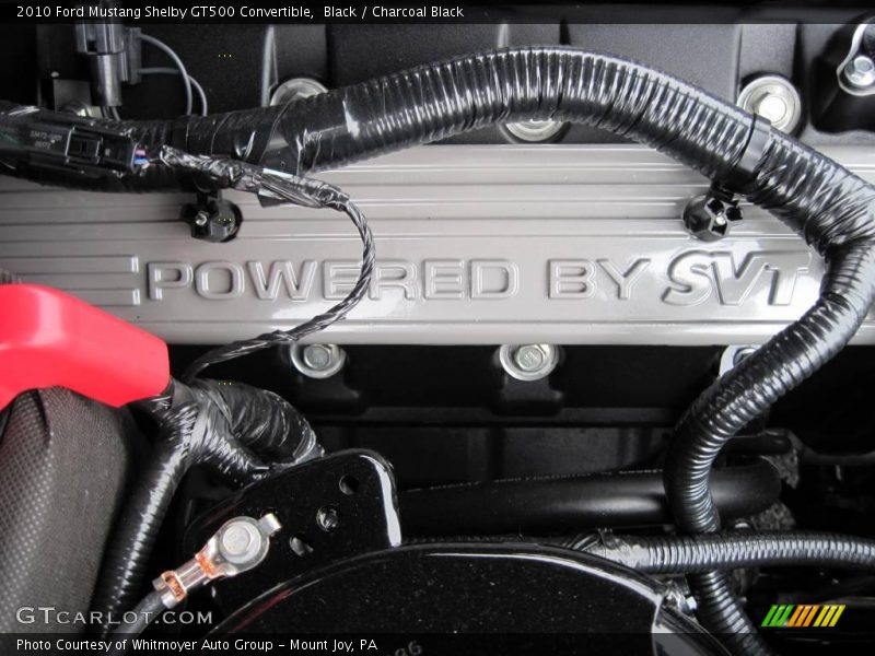 Black / Charcoal Black 2010 Ford Mustang Shelby GT500 Convertible