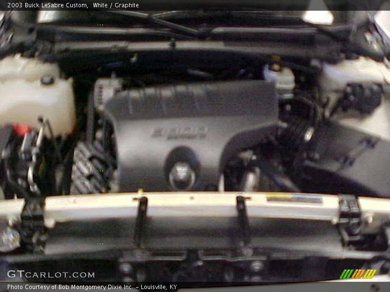 White / Graphite 2003 Buick LeSabre Custom