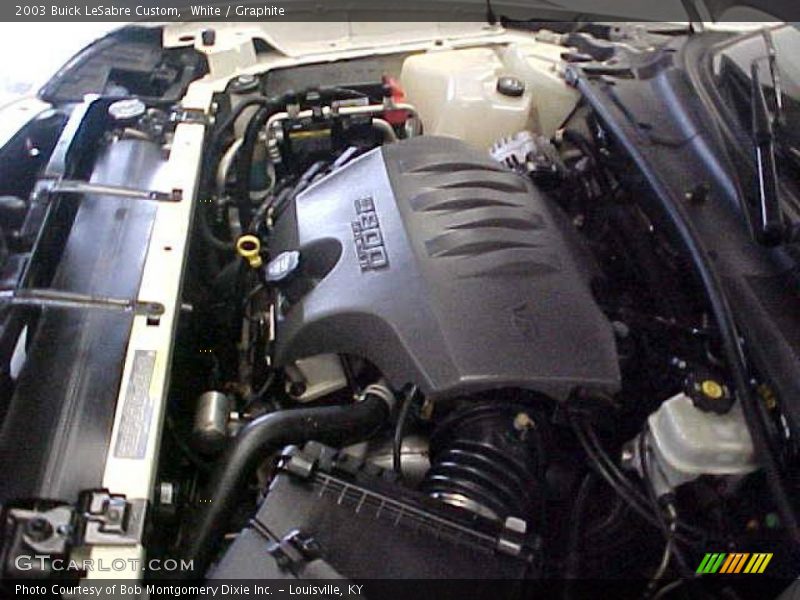 White / Graphite 2003 Buick LeSabre Custom