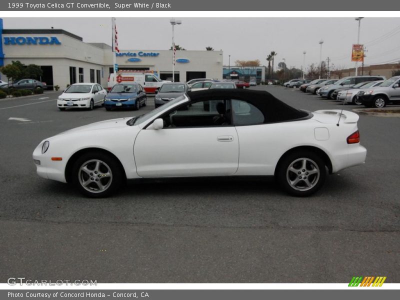 Super White / Black 1999 Toyota Celica GT Convertible
