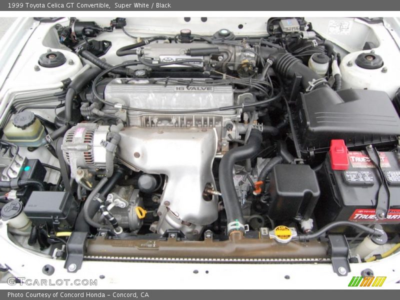 Super White / Black 1999 Toyota Celica GT Convertible