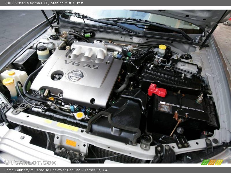 Sterling Mist / Frost 2003 Nissan Maxima GXE