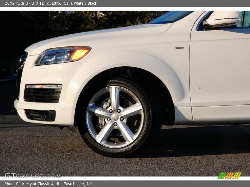 Calla White / Black 2009 Audi Q7 3.0 TDI quattro