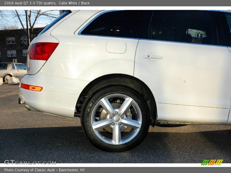 Calla White / Black 2009 Audi Q7 3.0 TDI quattro