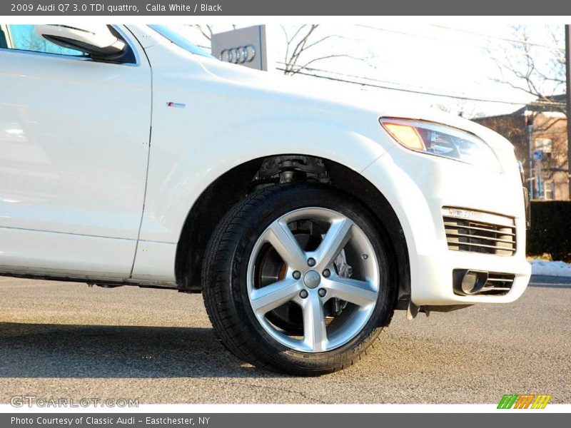 Calla White / Black 2009 Audi Q7 3.0 TDI quattro