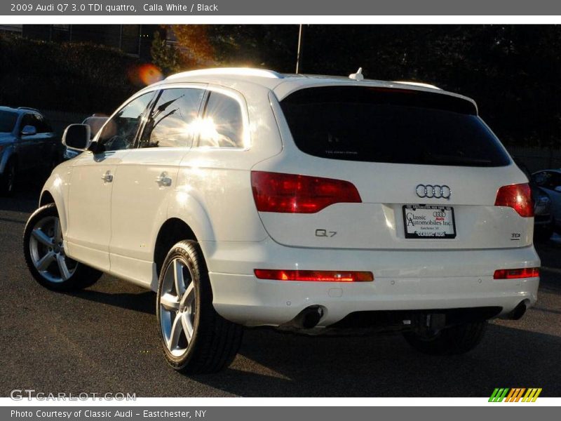 Calla White / Black 2009 Audi Q7 3.0 TDI quattro
