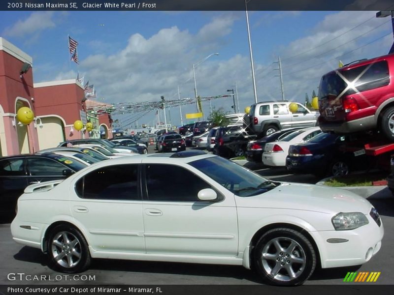 Glacier White Pearl / Frost 2003 Nissan Maxima SE