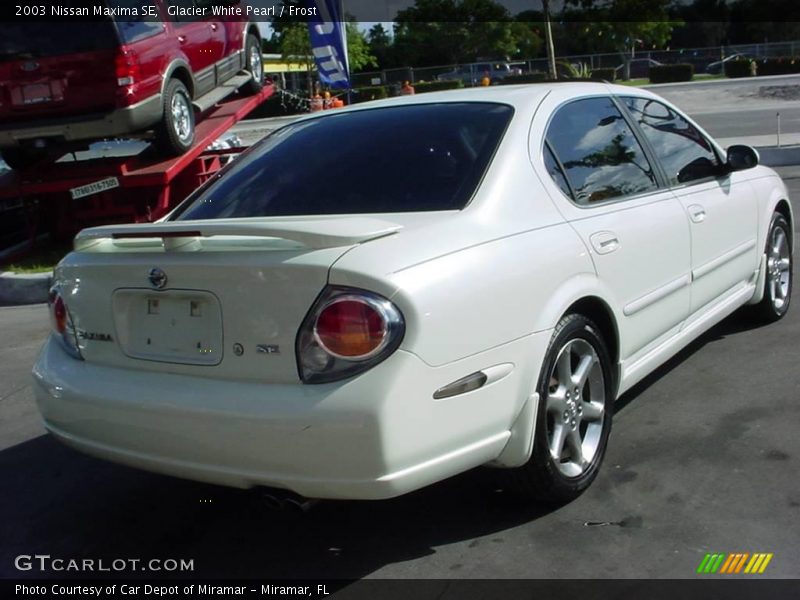 Glacier White Pearl / Frost 2003 Nissan Maxima SE