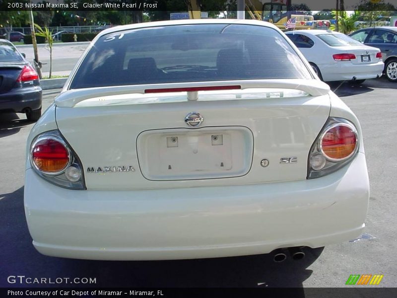 Glacier White Pearl / Frost 2003 Nissan Maxima SE