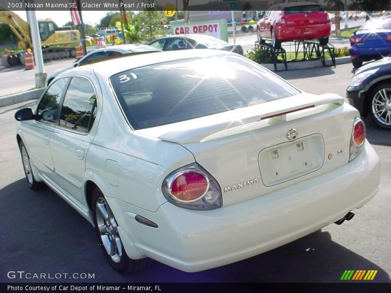 Glacier White Pearl / Frost 2003 Nissan Maxima SE