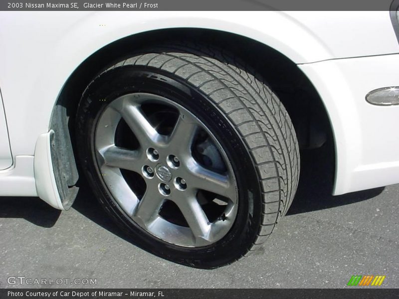 Glacier White Pearl / Frost 2003 Nissan Maxima SE