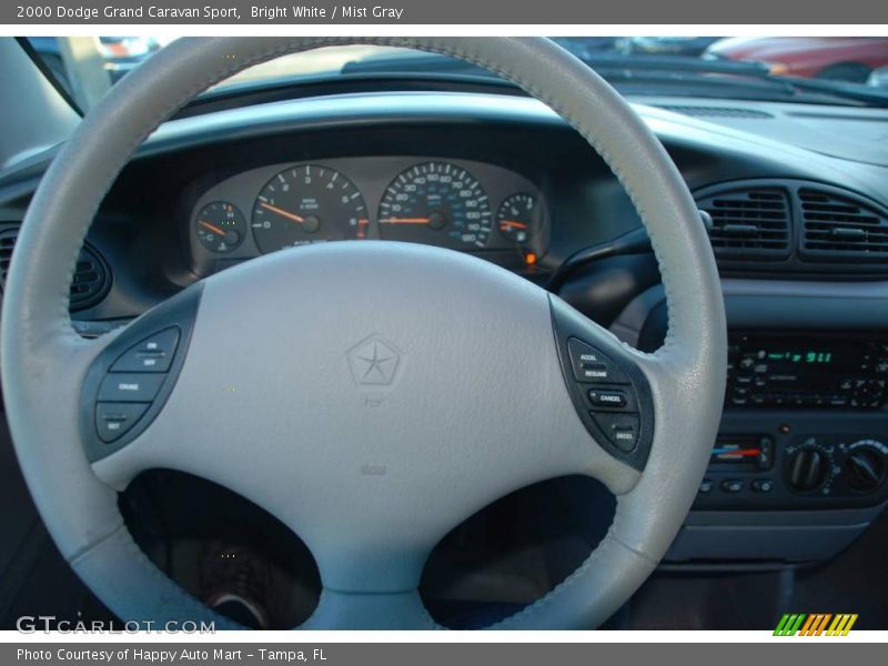Bright White / Mist Gray 2000 Dodge Grand Caravan Sport
