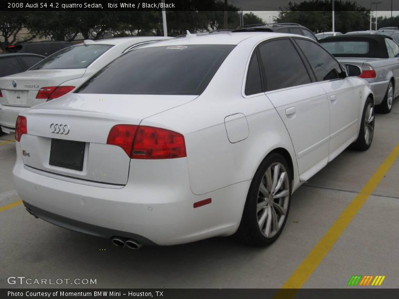 Ibis White / Black/Black 2008 Audi S4 4.2 quattro Sedan
