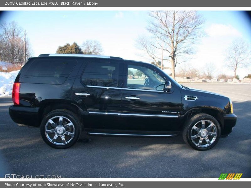 Black Raven / Ebony 2008 Cadillac Escalade AWD