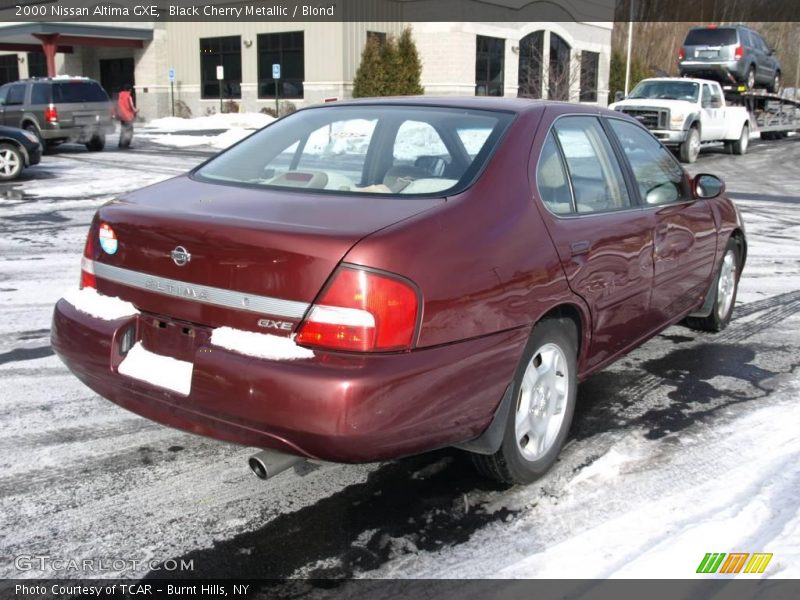 Black Cherry Metallic / Blond 2000 Nissan Altima GXE