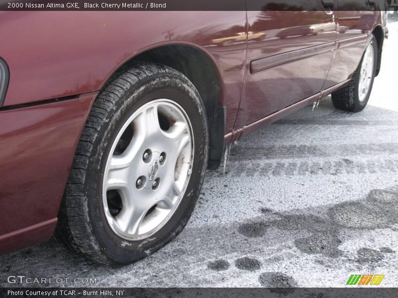 Black Cherry Metallic / Blond 2000 Nissan Altima GXE