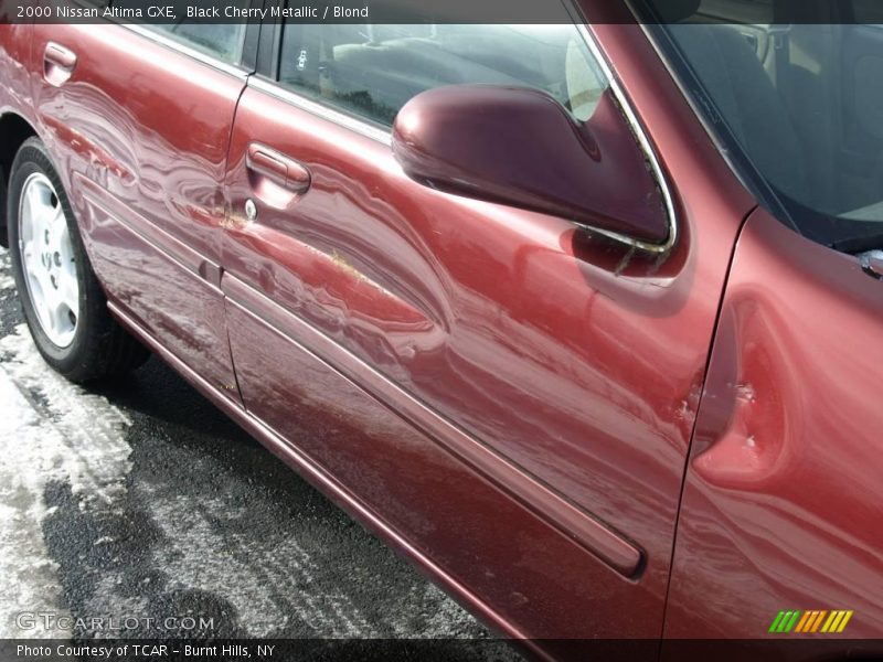 Black Cherry Metallic / Blond 2000 Nissan Altima GXE