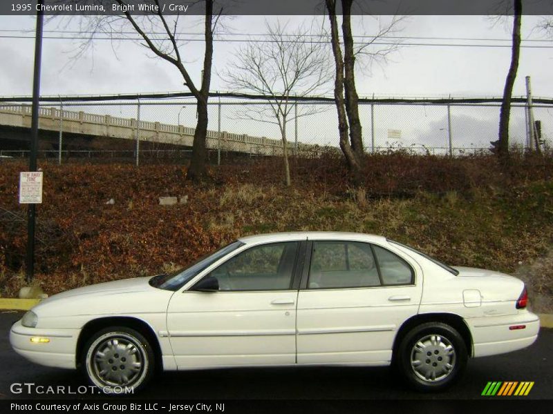 Bright White / Gray 1995 Chevrolet Lumina