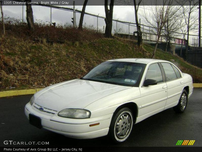 Bright White / Gray 1995 Chevrolet Lumina